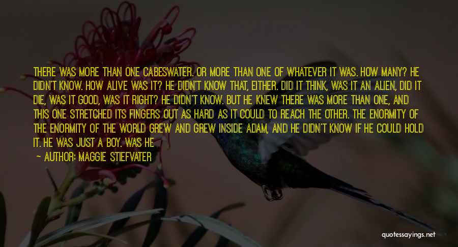 Maggie Stiefvater Quotes: There Was More Than One Cabeswater. Or More Than One Of Whatever It Was. How Many? He Didn't Know. How