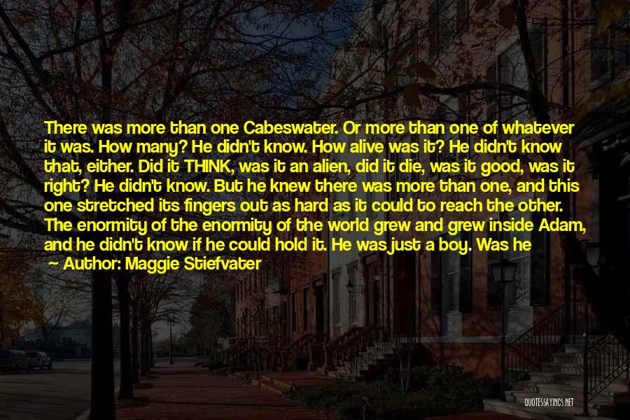 Maggie Stiefvater Quotes: There Was More Than One Cabeswater. Or More Than One Of Whatever It Was. How Many? He Didn't Know. How