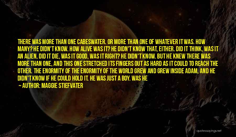 Maggie Stiefvater Quotes: There Was More Than One Cabeswater. Or More Than One Of Whatever It Was. How Many? He Didn't Know. How