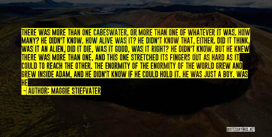 Maggie Stiefvater Quotes: There Was More Than One Cabeswater. Or More Than One Of Whatever It Was. How Many? He Didn't Know. How