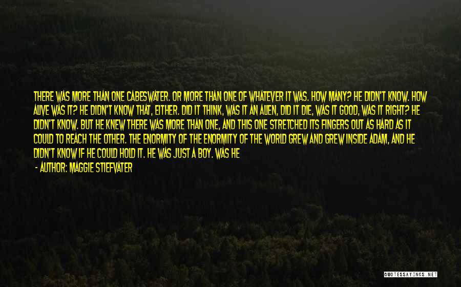 Maggie Stiefvater Quotes: There Was More Than One Cabeswater. Or More Than One Of Whatever It Was. How Many? He Didn't Know. How