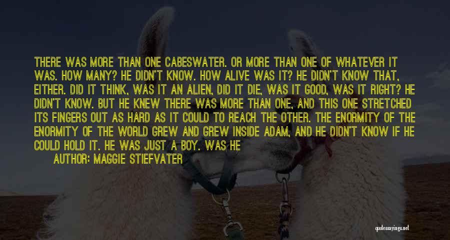Maggie Stiefvater Quotes: There Was More Than One Cabeswater. Or More Than One Of Whatever It Was. How Many? He Didn't Know. How