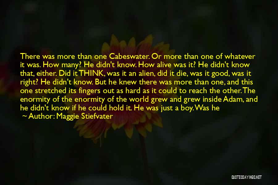 Maggie Stiefvater Quotes: There Was More Than One Cabeswater. Or More Than One Of Whatever It Was. How Many? He Didn't Know. How