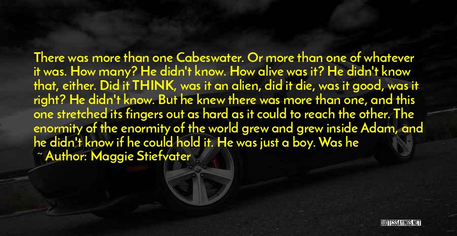 Maggie Stiefvater Quotes: There Was More Than One Cabeswater. Or More Than One Of Whatever It Was. How Many? He Didn't Know. How