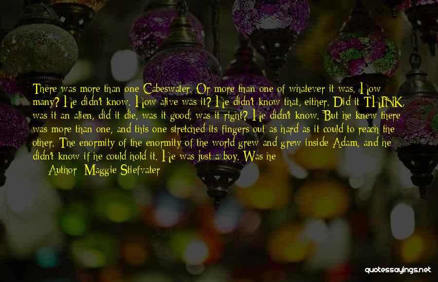 Maggie Stiefvater Quotes: There Was More Than One Cabeswater. Or More Than One Of Whatever It Was. How Many? He Didn't Know. How