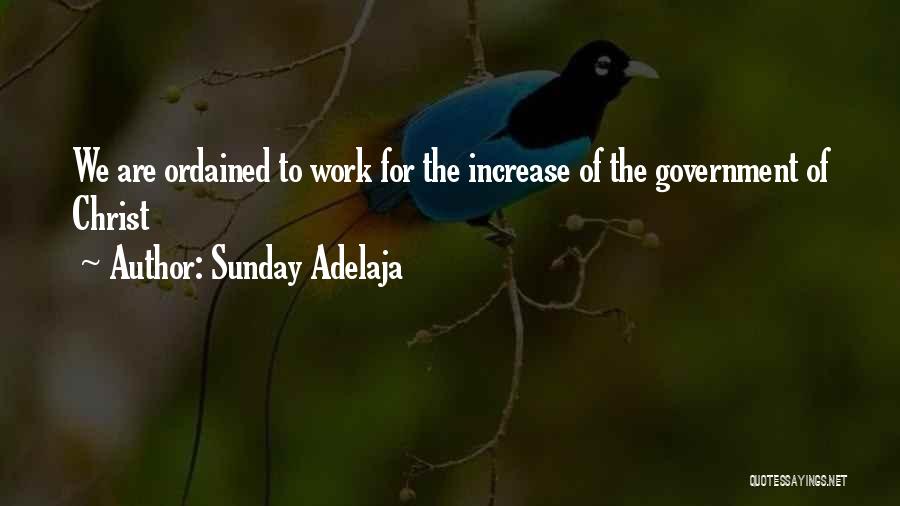 Sunday Adelaja Quotes: We Are Ordained To Work For The Increase Of The Government Of Christ