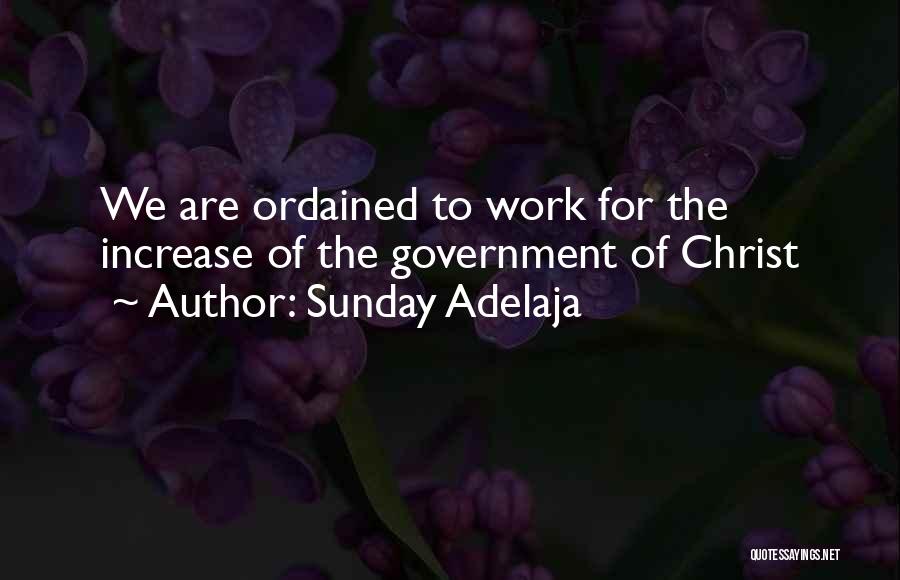 Sunday Adelaja Quotes: We Are Ordained To Work For The Increase Of The Government Of Christ