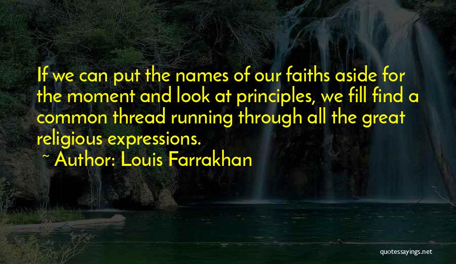 Louis Farrakhan Quotes: If We Can Put The Names Of Our Faiths Aside For The Moment And Look At Principles, We Fill Find