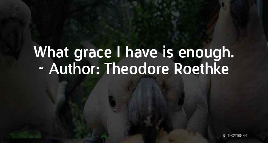 Theodore Roethke Quotes: What Grace I Have Is Enough.