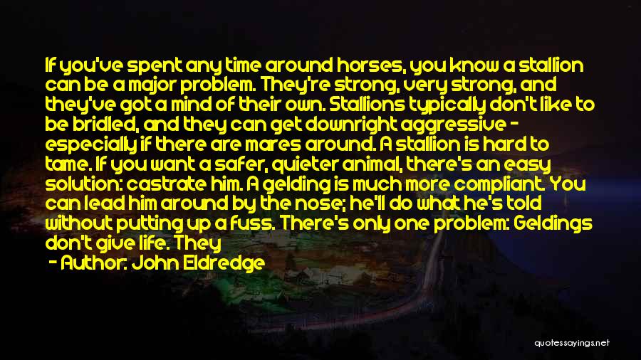 John Eldredge Quotes: If You've Spent Any Time Around Horses, You Know A Stallion Can Be A Major Problem. They're Strong, Very Strong,
