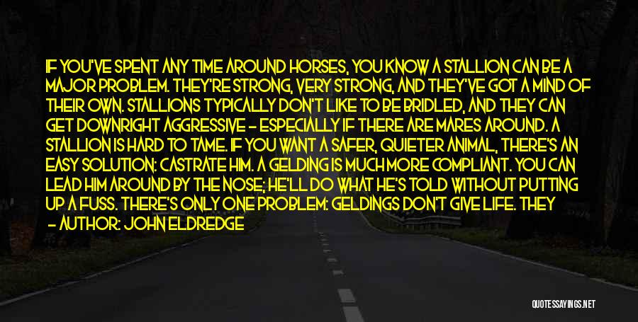 John Eldredge Quotes: If You've Spent Any Time Around Horses, You Know A Stallion Can Be A Major Problem. They're Strong, Very Strong,