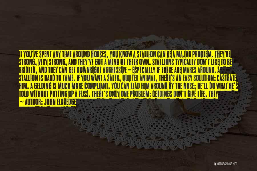 John Eldredge Quotes: If You've Spent Any Time Around Horses, You Know A Stallion Can Be A Major Problem. They're Strong, Very Strong,