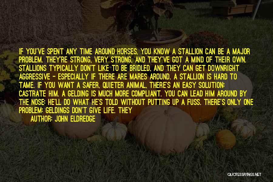 John Eldredge Quotes: If You've Spent Any Time Around Horses, You Know A Stallion Can Be A Major Problem. They're Strong, Very Strong,