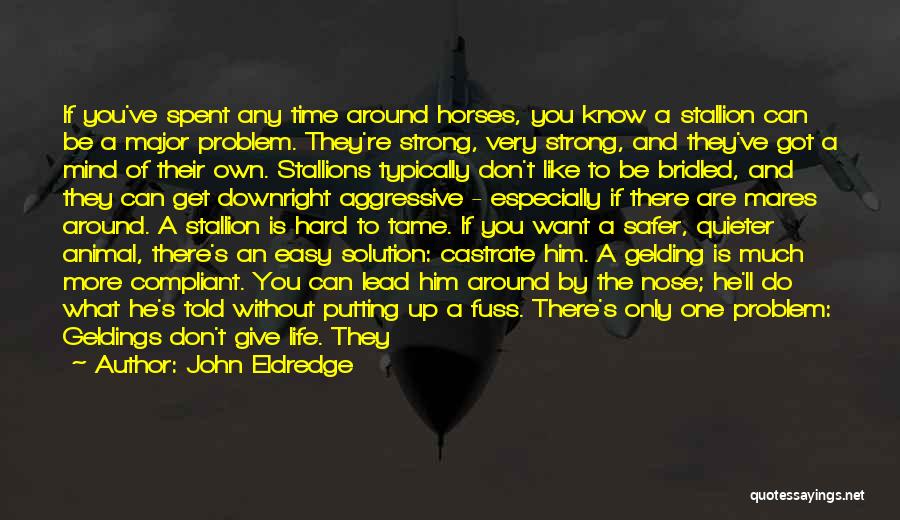 John Eldredge Quotes: If You've Spent Any Time Around Horses, You Know A Stallion Can Be A Major Problem. They're Strong, Very Strong,