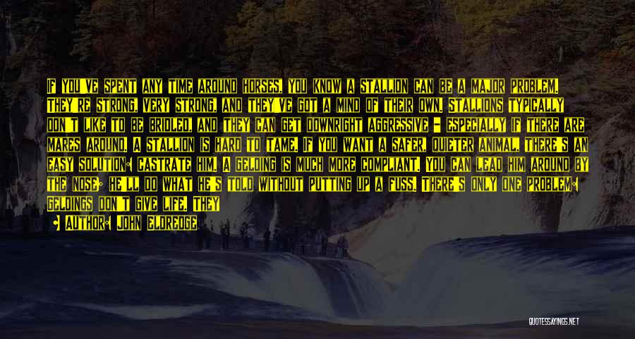 John Eldredge Quotes: If You've Spent Any Time Around Horses, You Know A Stallion Can Be A Major Problem. They're Strong, Very Strong,