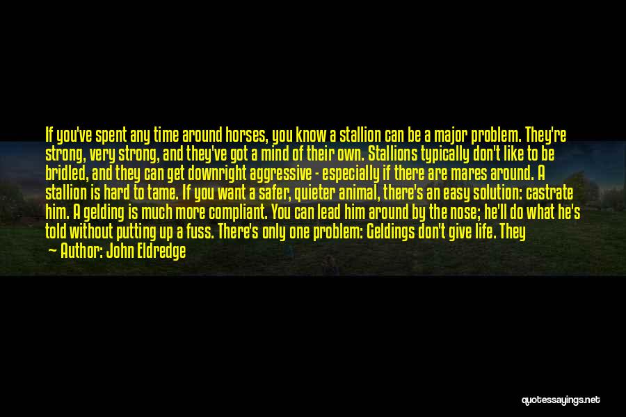 John Eldredge Quotes: If You've Spent Any Time Around Horses, You Know A Stallion Can Be A Major Problem. They're Strong, Very Strong,