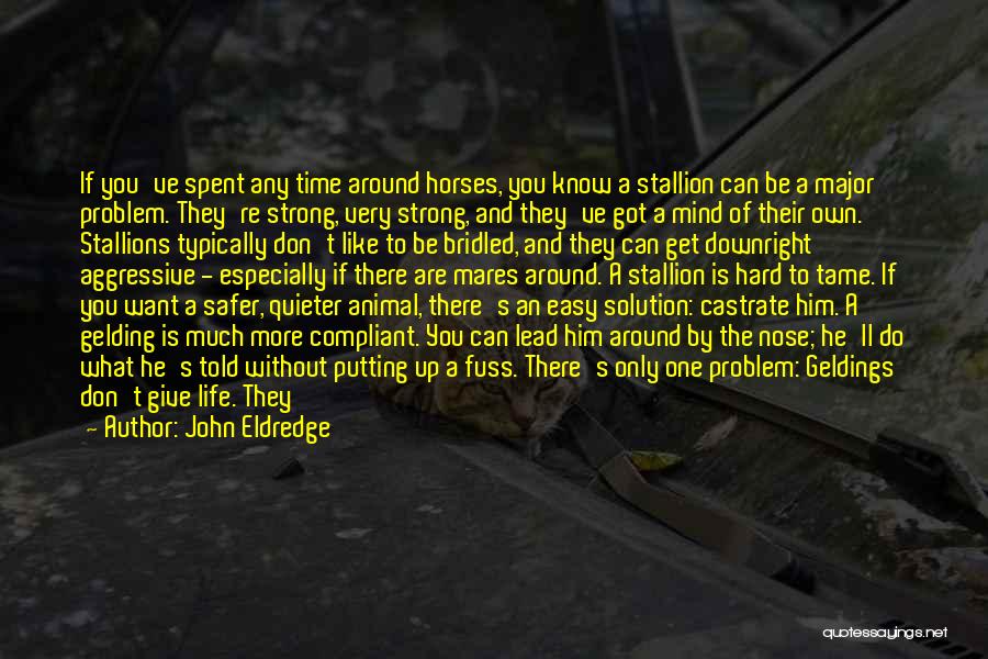 John Eldredge Quotes: If You've Spent Any Time Around Horses, You Know A Stallion Can Be A Major Problem. They're Strong, Very Strong,