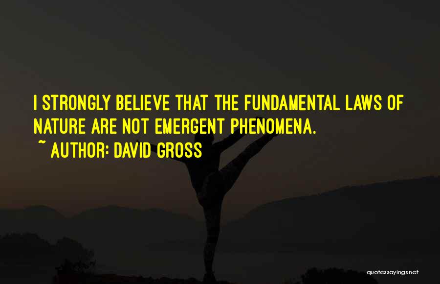 David Gross Quotes: I Strongly Believe That The Fundamental Laws Of Nature Are Not Emergent Phenomena.