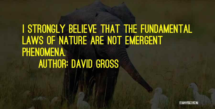David Gross Quotes: I Strongly Believe That The Fundamental Laws Of Nature Are Not Emergent Phenomena.