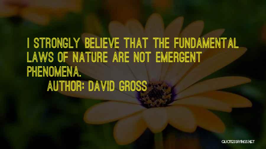 David Gross Quotes: I Strongly Believe That The Fundamental Laws Of Nature Are Not Emergent Phenomena.