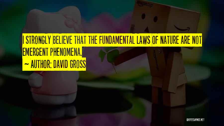 David Gross Quotes: I Strongly Believe That The Fundamental Laws Of Nature Are Not Emergent Phenomena.