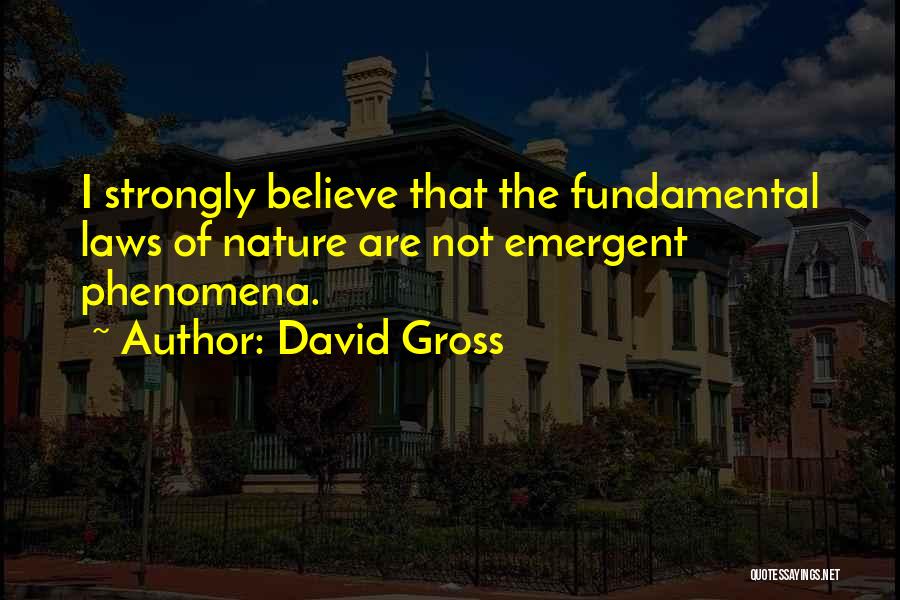 David Gross Quotes: I Strongly Believe That The Fundamental Laws Of Nature Are Not Emergent Phenomena.