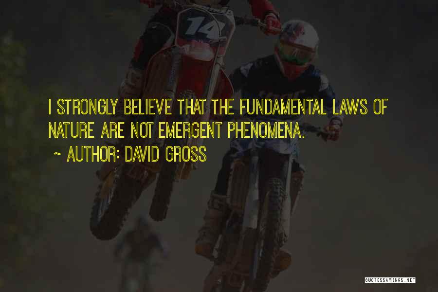 David Gross Quotes: I Strongly Believe That The Fundamental Laws Of Nature Are Not Emergent Phenomena.