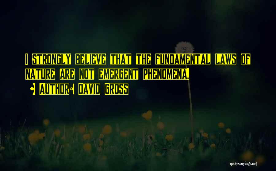 David Gross Quotes: I Strongly Believe That The Fundamental Laws Of Nature Are Not Emergent Phenomena.