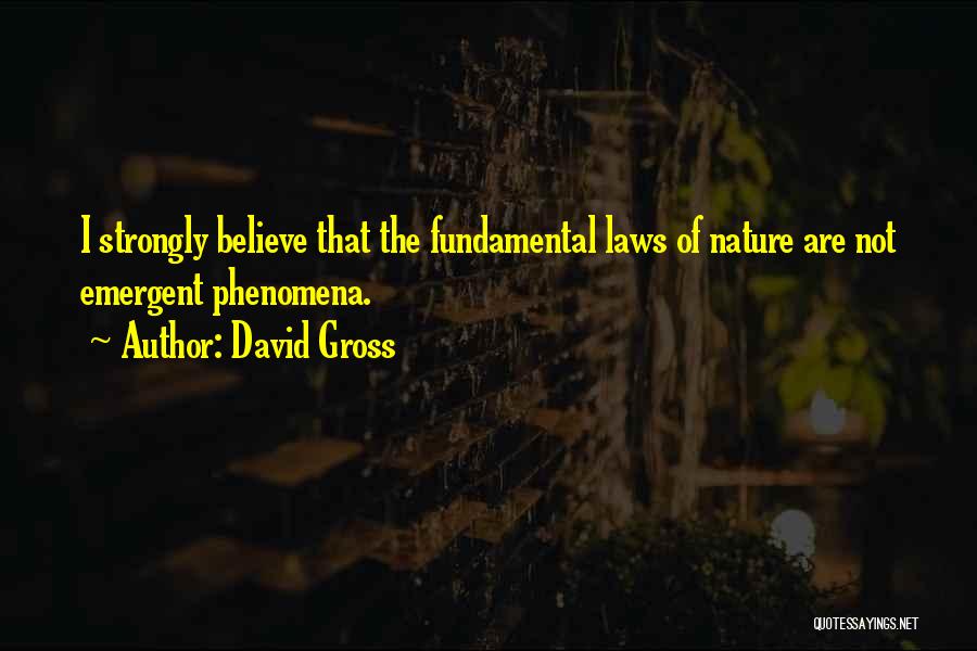 David Gross Quotes: I Strongly Believe That The Fundamental Laws Of Nature Are Not Emergent Phenomena.