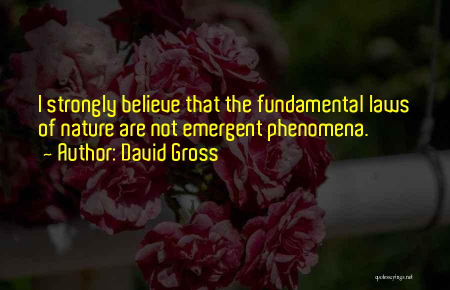 David Gross Quotes: I Strongly Believe That The Fundamental Laws Of Nature Are Not Emergent Phenomena.