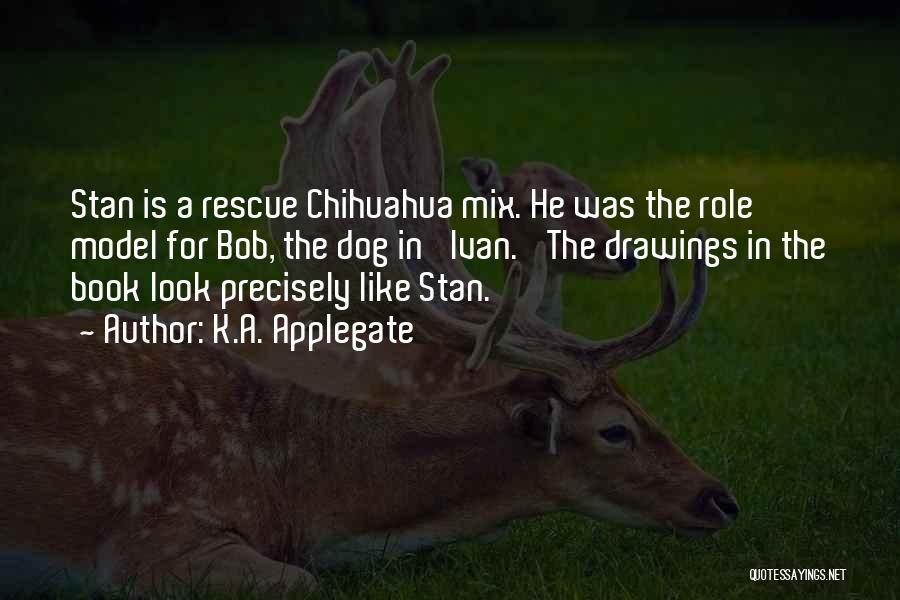 K.A. Applegate Quotes: Stan Is A Rescue Chihuahua Mix. He Was The Role Model For Bob, The Dog In 'ivan.' The Drawings In