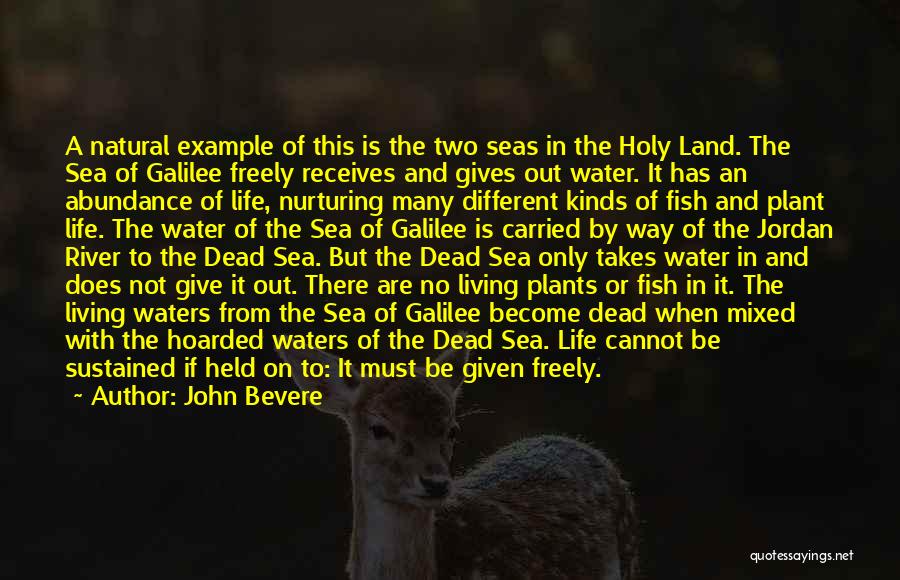 John Bevere Quotes: A Natural Example Of This Is The Two Seas In The Holy Land. The Sea Of Galilee Freely Receives And