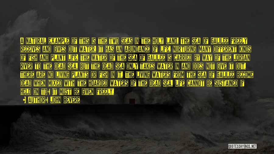 John Bevere Quotes: A Natural Example Of This Is The Two Seas In The Holy Land. The Sea Of Galilee Freely Receives And