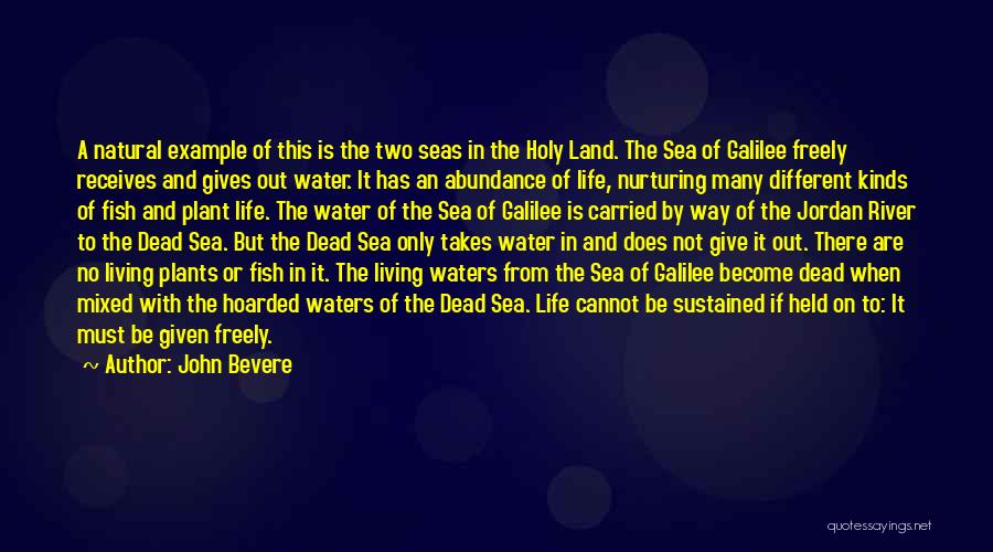 John Bevere Quotes: A Natural Example Of This Is The Two Seas In The Holy Land. The Sea Of Galilee Freely Receives And