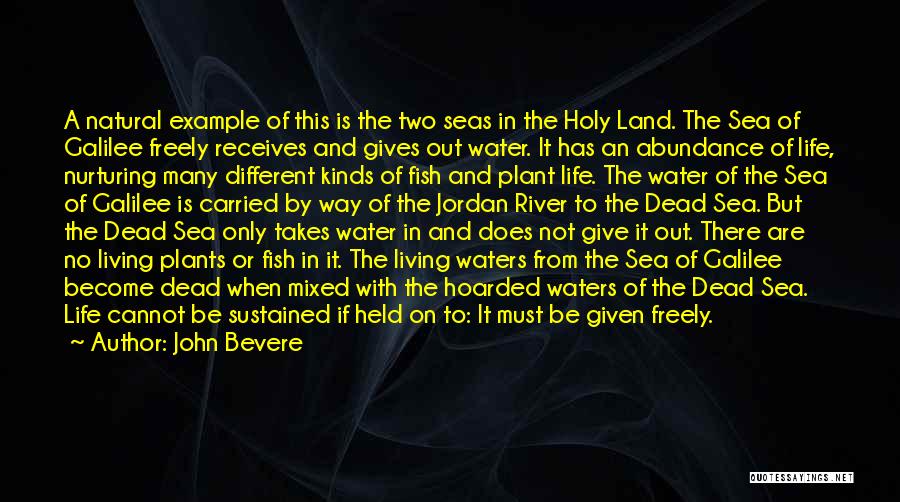 John Bevere Quotes: A Natural Example Of This Is The Two Seas In The Holy Land. The Sea Of Galilee Freely Receives And