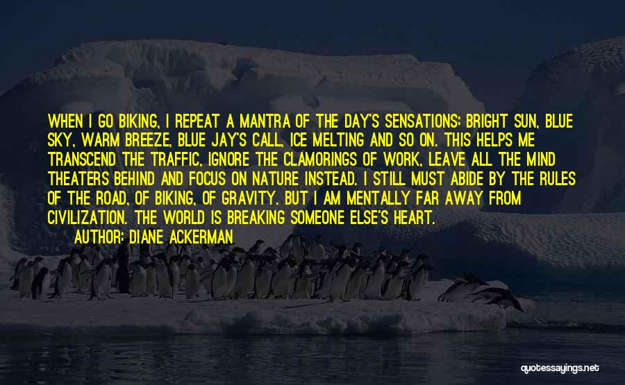 Diane Ackerman Quotes: When I Go Biking, I Repeat A Mantra Of The Day's Sensations: Bright Sun, Blue Sky, Warm Breeze, Blue Jay's