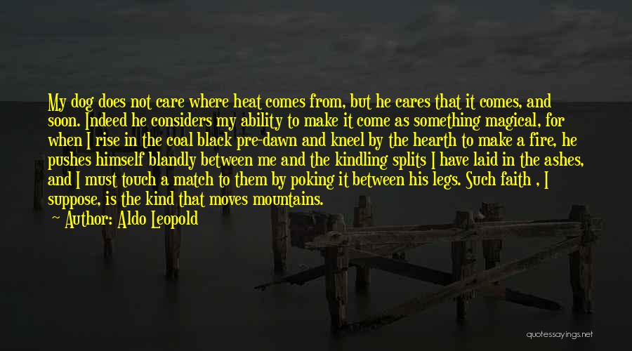 Aldo Leopold Quotes: My Dog Does Not Care Where Heat Comes From, But He Cares That It Comes, And Soon. Indeed He Considers