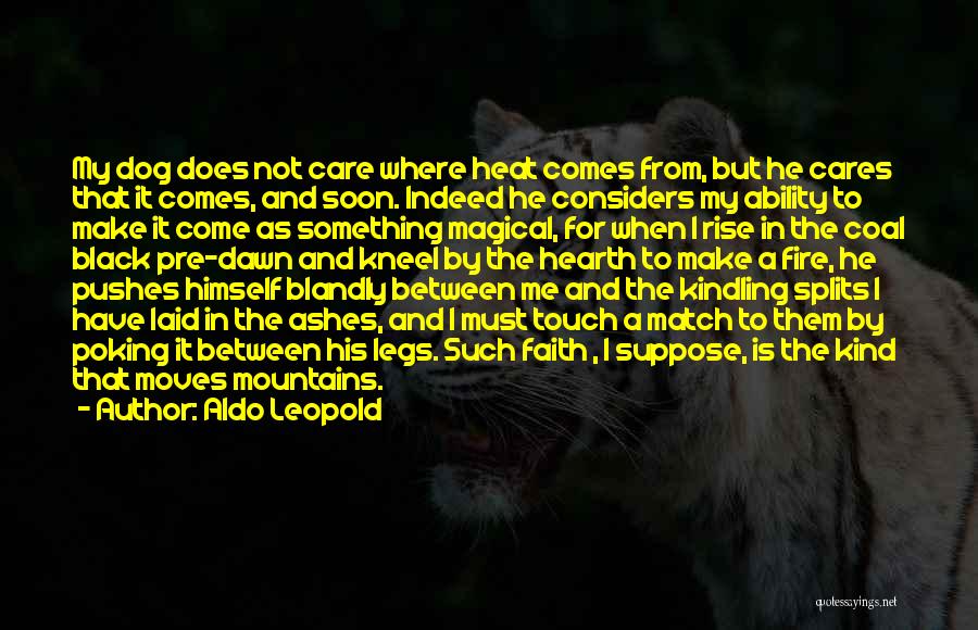 Aldo Leopold Quotes: My Dog Does Not Care Where Heat Comes From, But He Cares That It Comes, And Soon. Indeed He Considers