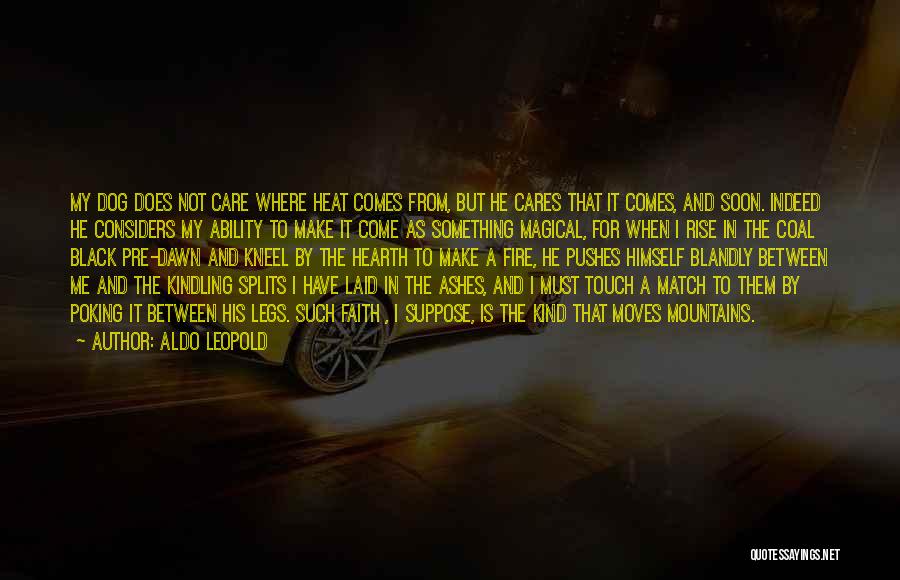 Aldo Leopold Quotes: My Dog Does Not Care Where Heat Comes From, But He Cares That It Comes, And Soon. Indeed He Considers