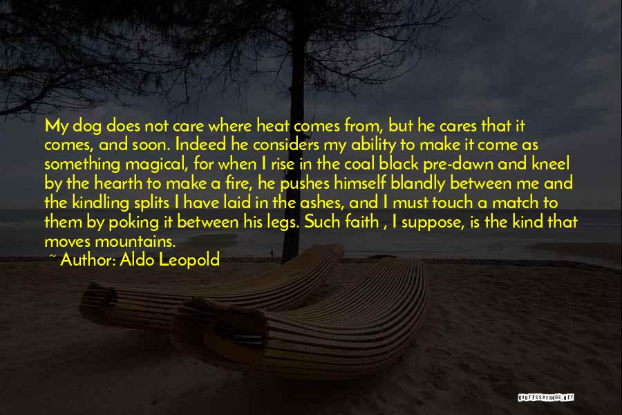 Aldo Leopold Quotes: My Dog Does Not Care Where Heat Comes From, But He Cares That It Comes, And Soon. Indeed He Considers