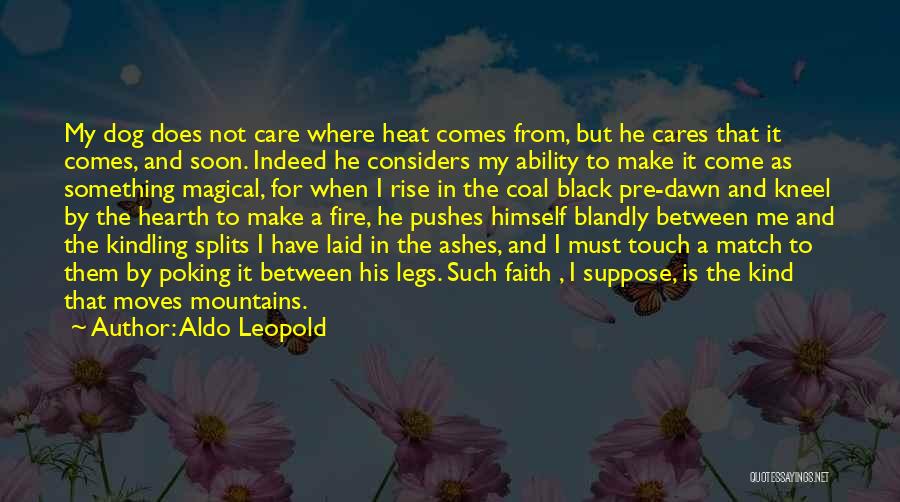 Aldo Leopold Quotes: My Dog Does Not Care Where Heat Comes From, But He Cares That It Comes, And Soon. Indeed He Considers