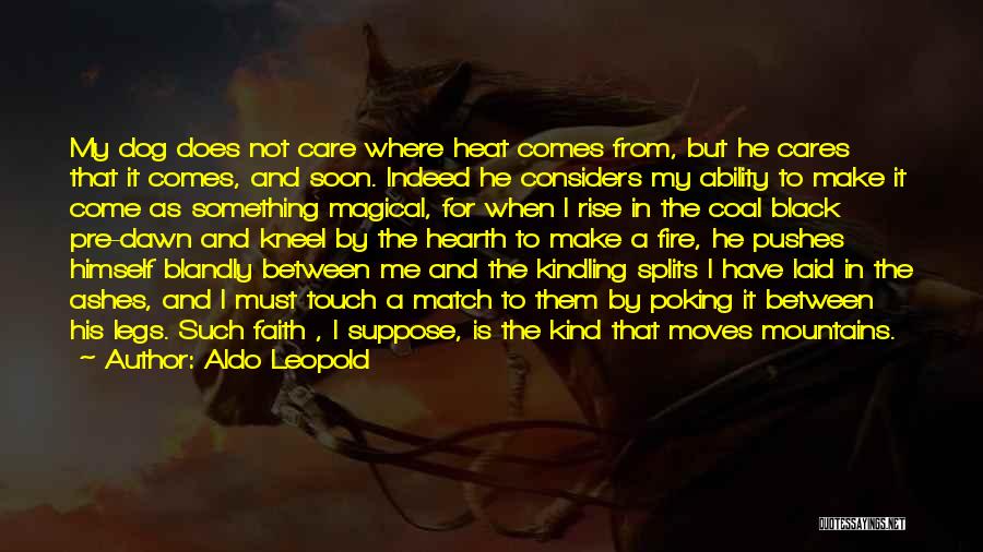 Aldo Leopold Quotes: My Dog Does Not Care Where Heat Comes From, But He Cares That It Comes, And Soon. Indeed He Considers