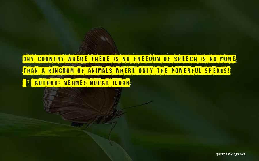 Mehmet Murat Ildan Quotes: Any Country Where There Is No Freedom Of Speech Is No More Than A Kingdom Of Animals Where Only The