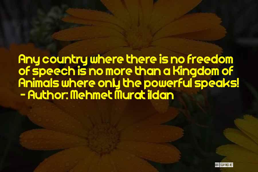 Mehmet Murat Ildan Quotes: Any Country Where There Is No Freedom Of Speech Is No More Than A Kingdom Of Animals Where Only The