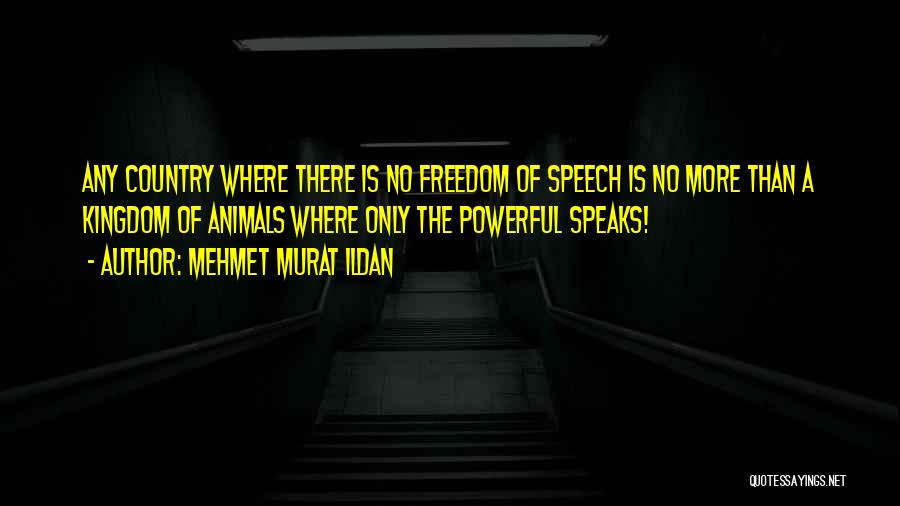 Mehmet Murat Ildan Quotes: Any Country Where There Is No Freedom Of Speech Is No More Than A Kingdom Of Animals Where Only The