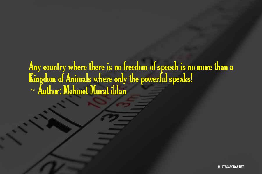 Mehmet Murat Ildan Quotes: Any Country Where There Is No Freedom Of Speech Is No More Than A Kingdom Of Animals Where Only The