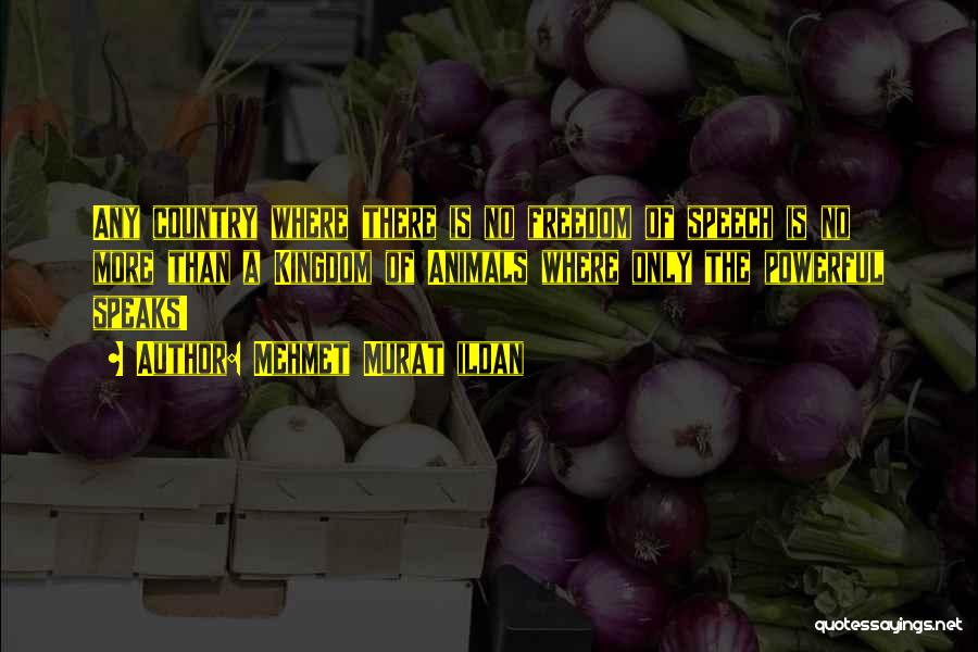 Mehmet Murat Ildan Quotes: Any Country Where There Is No Freedom Of Speech Is No More Than A Kingdom Of Animals Where Only The