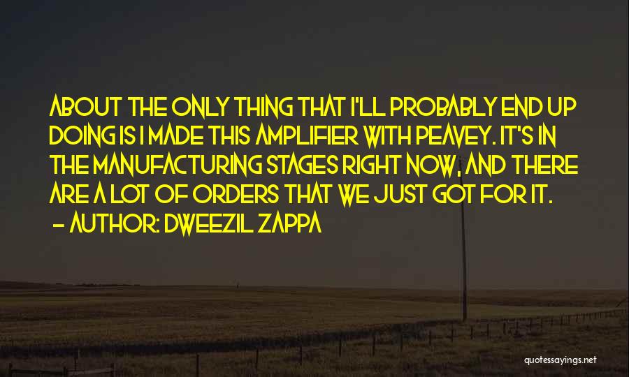 Dweezil Zappa Quotes: About The Only Thing That I'll Probably End Up Doing Is I Made This Amplifier With Peavey. It's In The