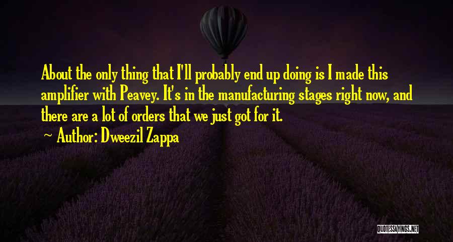 Dweezil Zappa Quotes: About The Only Thing That I'll Probably End Up Doing Is I Made This Amplifier With Peavey. It's In The
