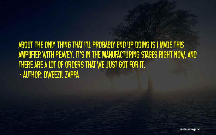 Dweezil Zappa Quotes: About The Only Thing That I'll Probably End Up Doing Is I Made This Amplifier With Peavey. It's In The